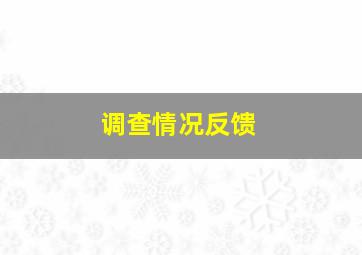 调查情况反馈