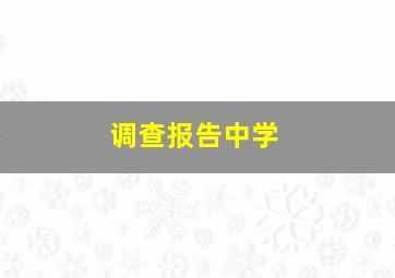 调查报告中学