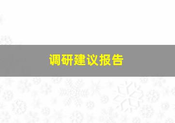 调研建议报告