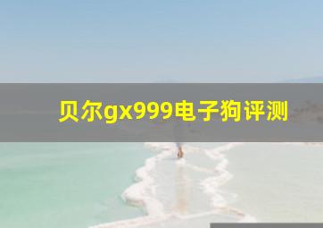 贝尔gx999电子狗评测