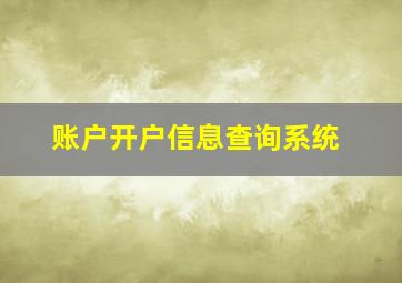 账户开户信息查询系统