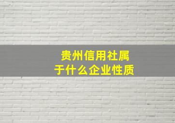 贵州信用社属于什么企业性质