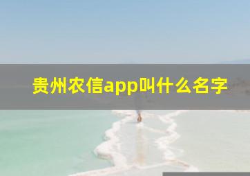 贵州农信app叫什么名字