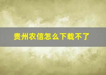 贵州农信怎么下载不了