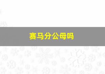 赛马分公母吗