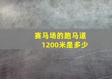 赛马场的跑马道1200米是多少