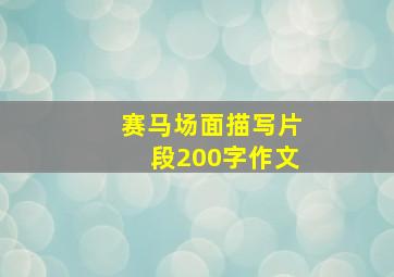 赛马场面描写片段200字作文