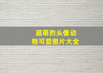 超萌的头像动物可爱图片大全