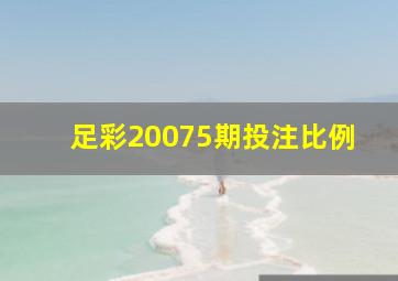 足彩20075期投注比例