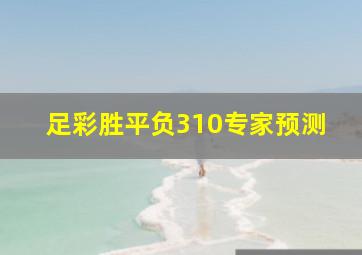 足彩胜平负310专家预测