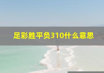 足彩胜平负310什么意思