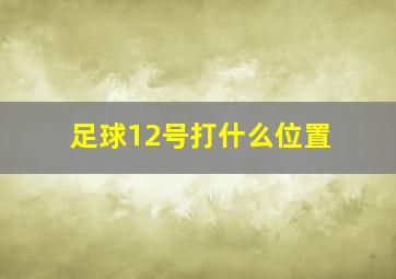 足球12号打什么位置