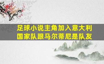 足球小说主角加入意大利国家队跟马尔蒂尼是队友