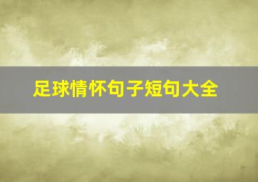 足球情怀句子短句大全