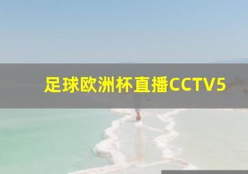 足球欧洲杯直播CCTV5