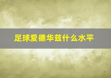 足球爱德华兹什么水平