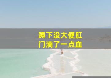 蹲下没大便肛门滴了一点血