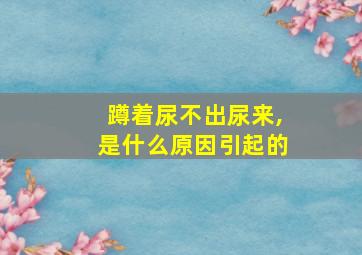 蹲着尿不出尿来,是什么原因引起的