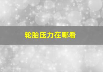 轮胎压力在哪看