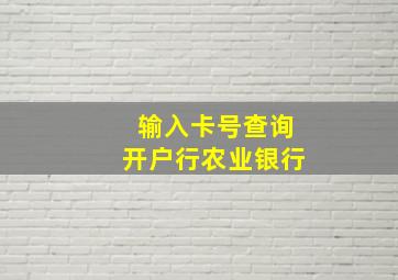 输入卡号查询开户行农业银行