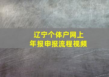 辽宁个体户网上年报申报流程视频