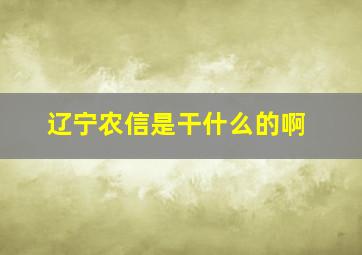 辽宁农信是干什么的啊