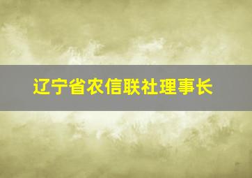 辽宁省农信联社理事长