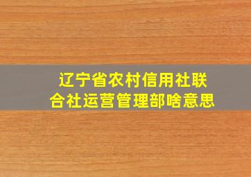 辽宁省农村信用社联合社运营管理部啥意思