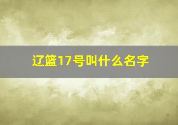 辽篮17号叫什么名字