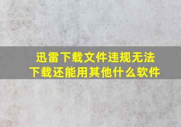 迅雷下载文件违规无法下载还能用其他什么软件