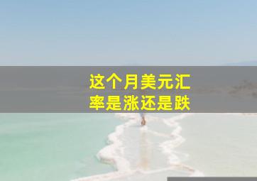 这个月美元汇率是涨还是跌