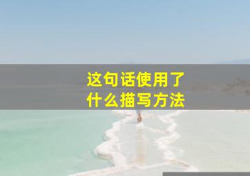 这句话使用了什么描写方法