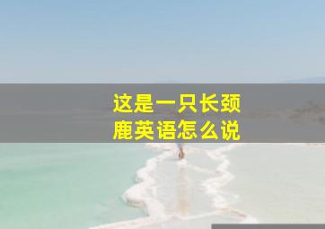 这是一只长颈鹿英语怎么说