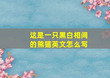 这是一只黑白相间的熊猫英文怎么写