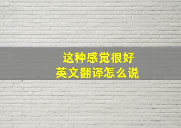 这种感觉很好英文翻译怎么说