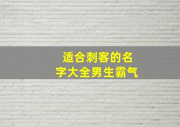 适合刺客的名字大全男生霸气