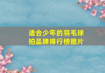 适合少年的羽毛球拍品牌排行榜图片