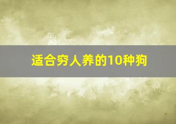 适合穷人养的10种狗