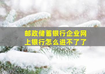 邮政储蓄银行企业网上银行怎么进不了了