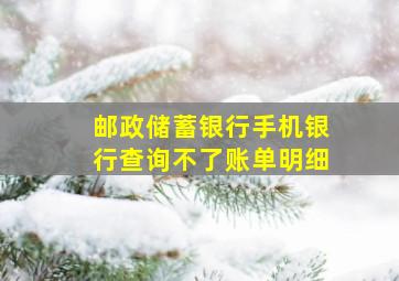 邮政储蓄银行手机银行查询不了账单明细