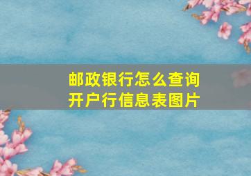 邮政银行怎么查询开户行信息表图片