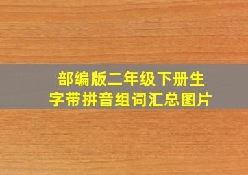 部编版二年级下册生字带拼音组词汇总图片