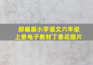 部编版小学语文六年级上册电子教材丁香花图片