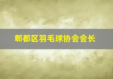 郫都区羽毛球协会会长