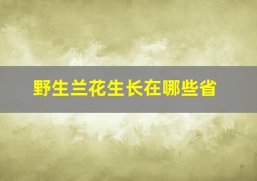 野生兰花生长在哪些省