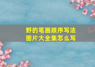 野的笔画顺序写法图片大全集怎么写