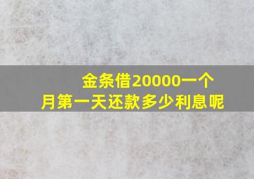 金条借20000一个月第一天还款多少利息呢