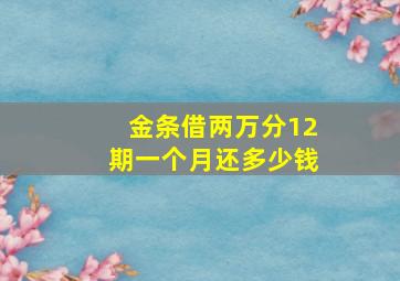 金条借两万分12期一个月还多少钱