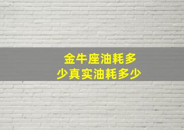 金牛座油耗多少真实油耗多少