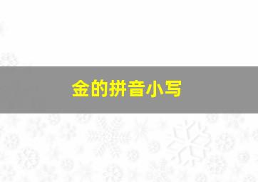 金的拼音小写